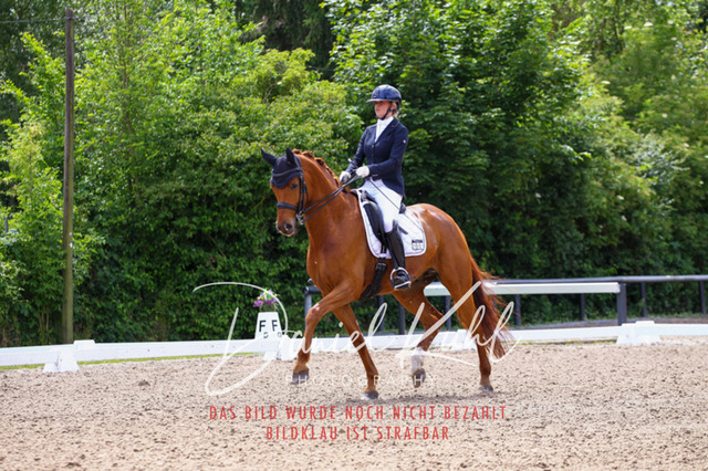 DKP41212 | Turnierfotos kaufen im Webshop von Daniel Kuhl Photography – entdecke professionelle Reitsportfotos aus Turnieren & Events. Hochwertige Turnierbilder online bestellen & sichern. Jetzt Fotos von Reitsportturnieren kaufen!