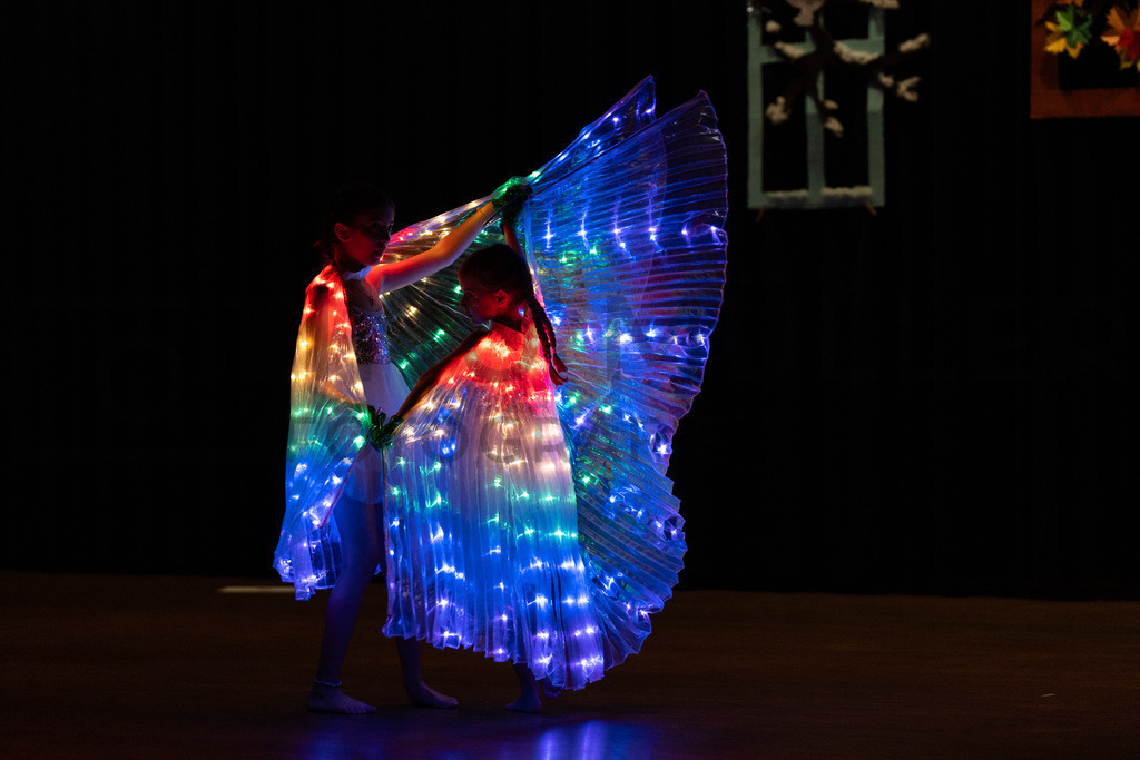 DSC08720 | Tinu Müller Fotografie- Bildershop - Realisiert mit Pictrs.com