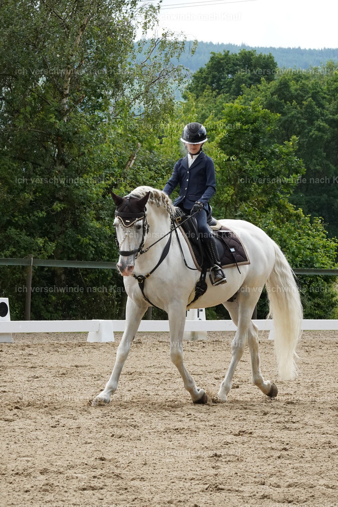 KlasseE_Lucie449 | working equitationturnier fotograf videograf stoibphotography marixx film working equitation deutschland reitsport turnierfotografie eventfotografie equestrian events