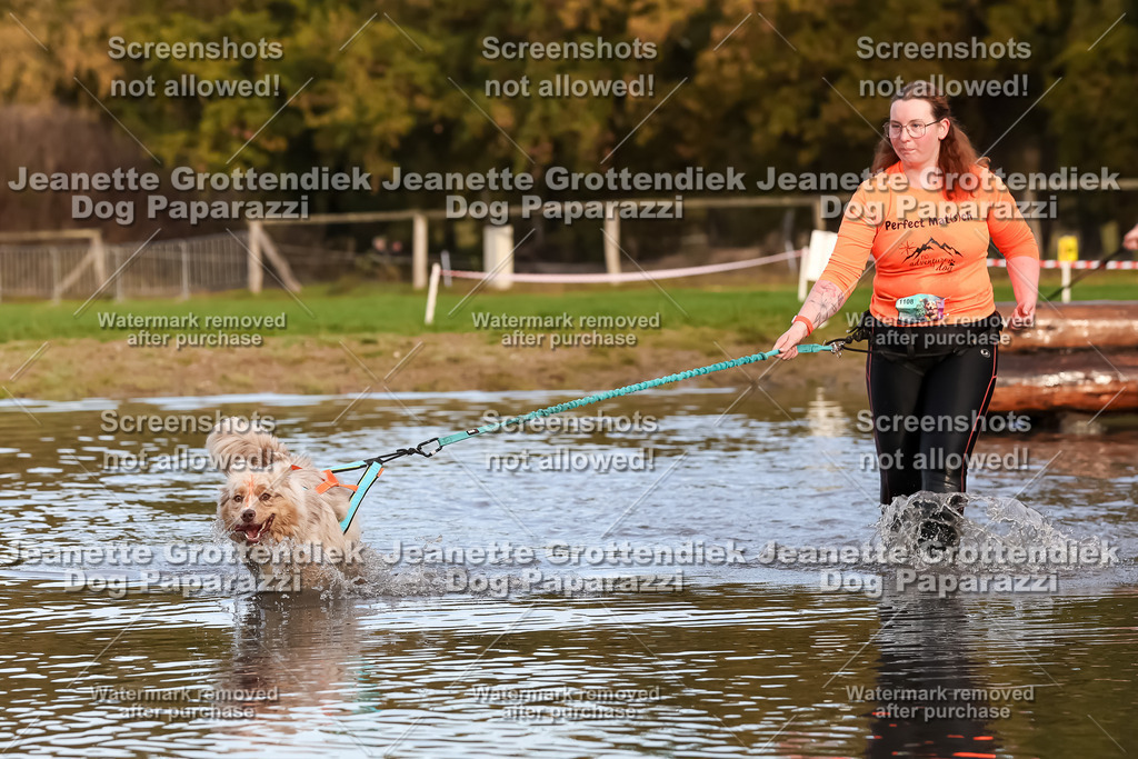 Dog Paparazzi - Strongdog 10-25-7028 | Dog Paparazzi Jeanette Grottendiek Fotografie & Videografie - Realisiert mit Pictrs.com