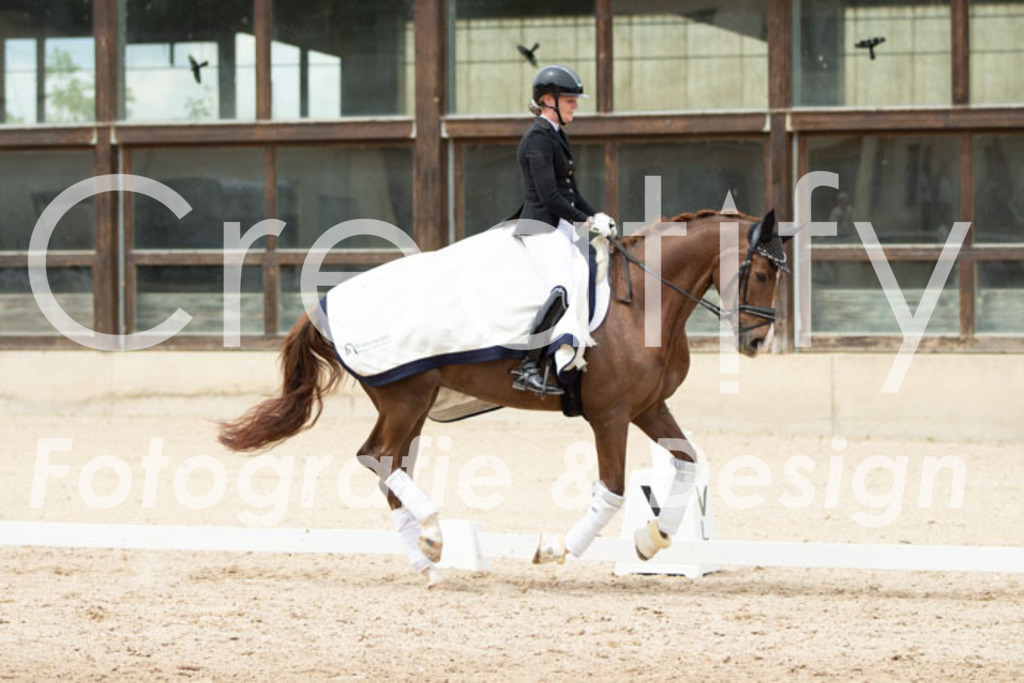 IMG_2910 | Creatify Fotografie