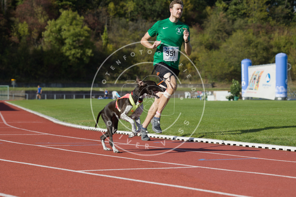 0L8A9789 | Hundefotografie, Tierfotograf, Pfotenfotografie, Fotoshooting Hund, Hunde Portrait, Hundesport, Hundeportraits, Heideshooting, Hunde, Sportfotograf, Hundefotograf, Turnierhundsport, THS,  - Realisiert mit Pictrs.com