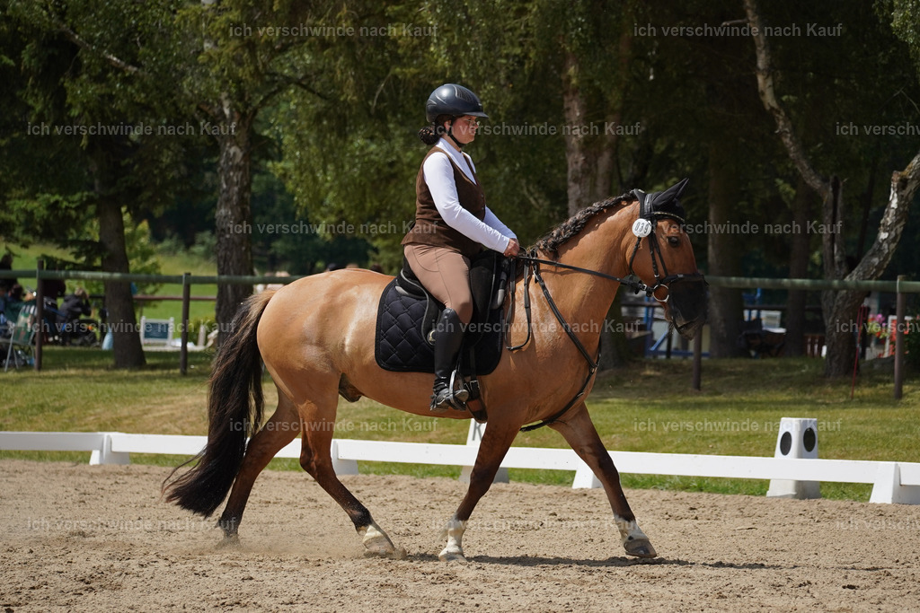 KlasseA_Lucie (47) | working equitationturnier fotograf videograf stoibphotography marixx film working equitation deutschland reitsport turnierfotografie eventfotografie equestrian events