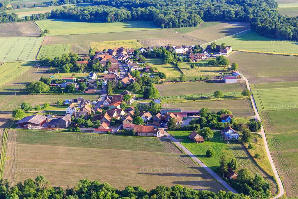 Vue aérienne: Vue du village depuis le nord à Friesenheim dans le département Bas Rhin, France. Photo: IMG_147348.jpg prise le 29/05/2025 par Werner Riehm/FLY-FOTO.euRésolution de l'original: 5472 x 3648 px