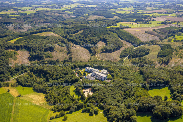 Ennepetal230801459 | Luftbild, Waldschäden und Kahlschlag, an der Holthauser Talstraße, Klinik Königsfeld, Windgarten, Ennepetal, Ruhrgebiet, Nordrhein-Westfalen, Deutschland