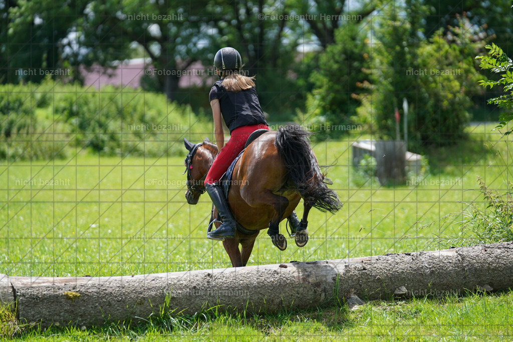 20240622-FAH07330 | Turnierfotografen Bayern, Reitsportbilder aus dem Geländekurs mit Felix Etzel auf dem Gut Waitzacker 2024