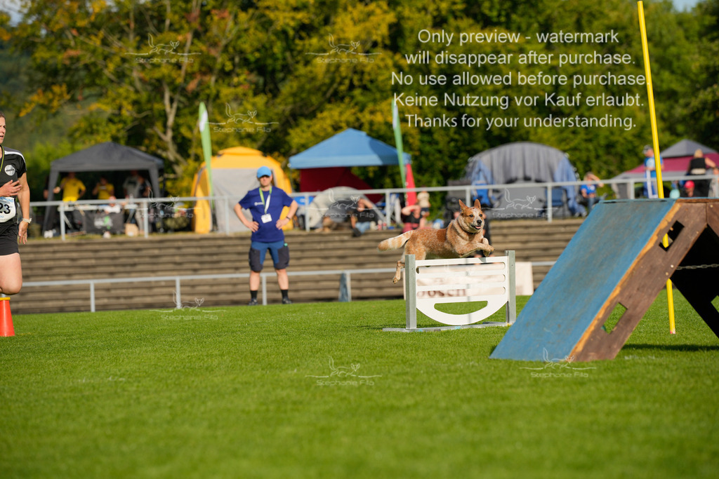 Samstag_CSC (1645 von 2023) | stephaniefillaphotographie - Realisiert mit Pictrs.com