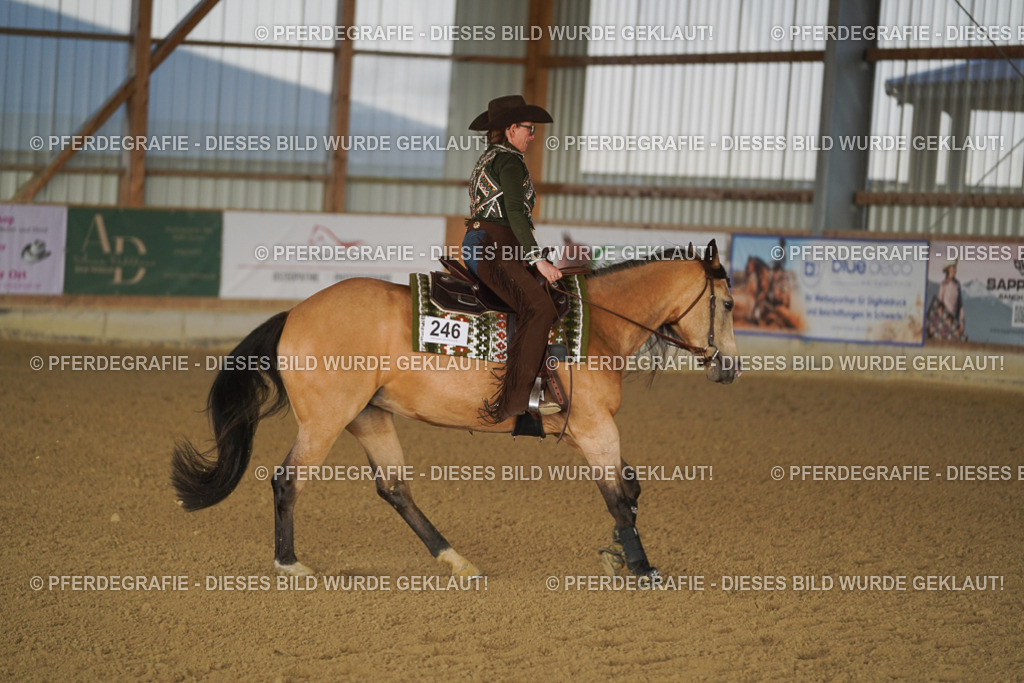 DSC08353 | Pferdegrafie