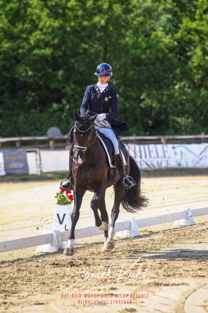 DKP46504 | Turniersportfotografie; Pferdefotografie; Dressurfotografie