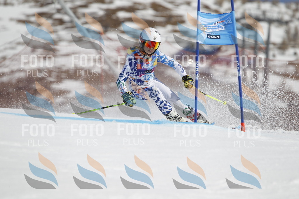 _U3G0725 | holidayphoto