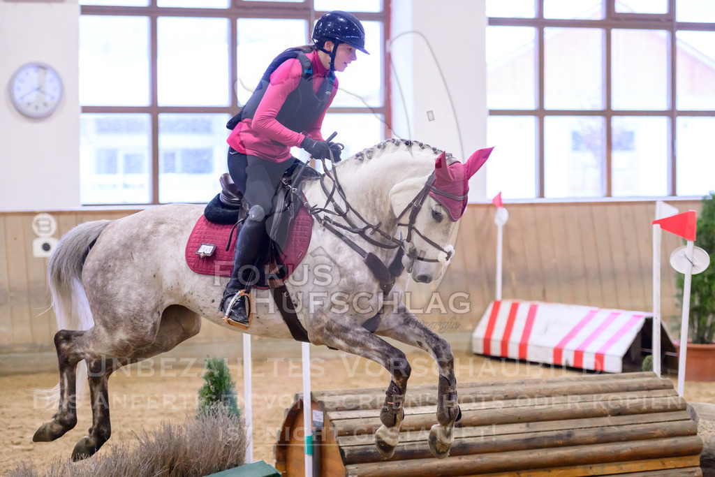 29032026-Schwaiganger-Prfg01-545 | Fokus Hufschlag Fotografie - Realisiert mit Pictrs.com