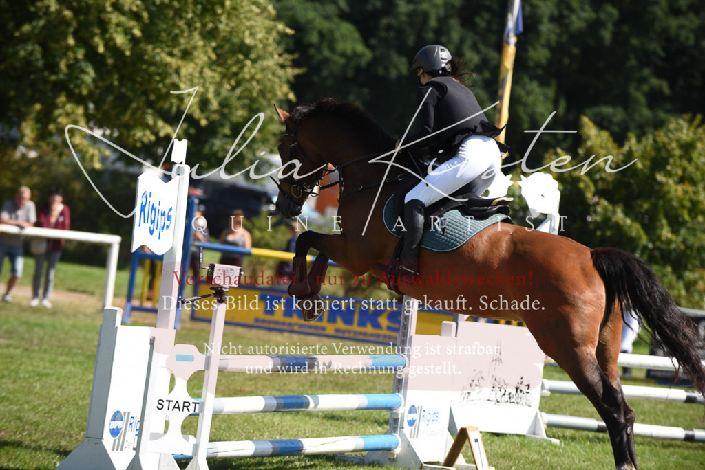 DSC_9338 | Pferde- und Turnierfotografie in Westsachsen. Pferdeportraits, Auftragszeichnungen und intuitive Kunst.
