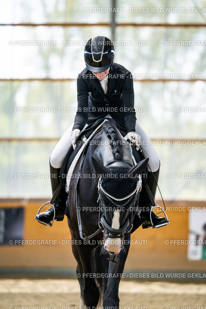 DSC05981 | Pferdegrafie