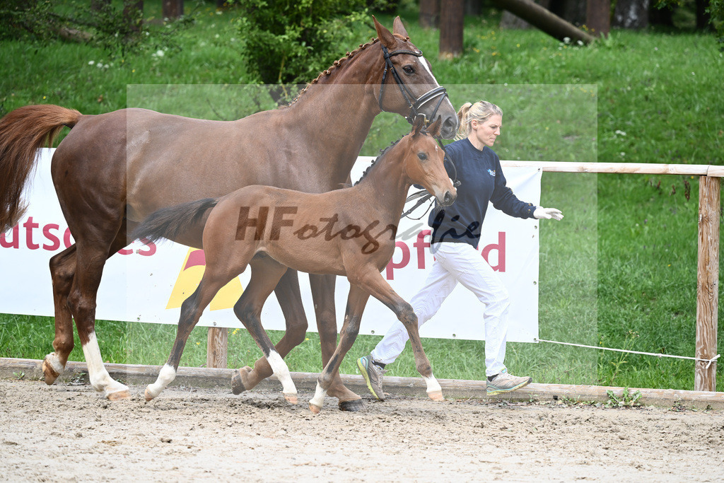 Kat-Nr. 17 HF Franklin_Hindrichs_25230544 | hf-fotografie - Realizzato con Pictrs.com