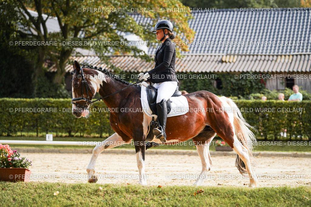 DSC04383 | Pferdegrafie