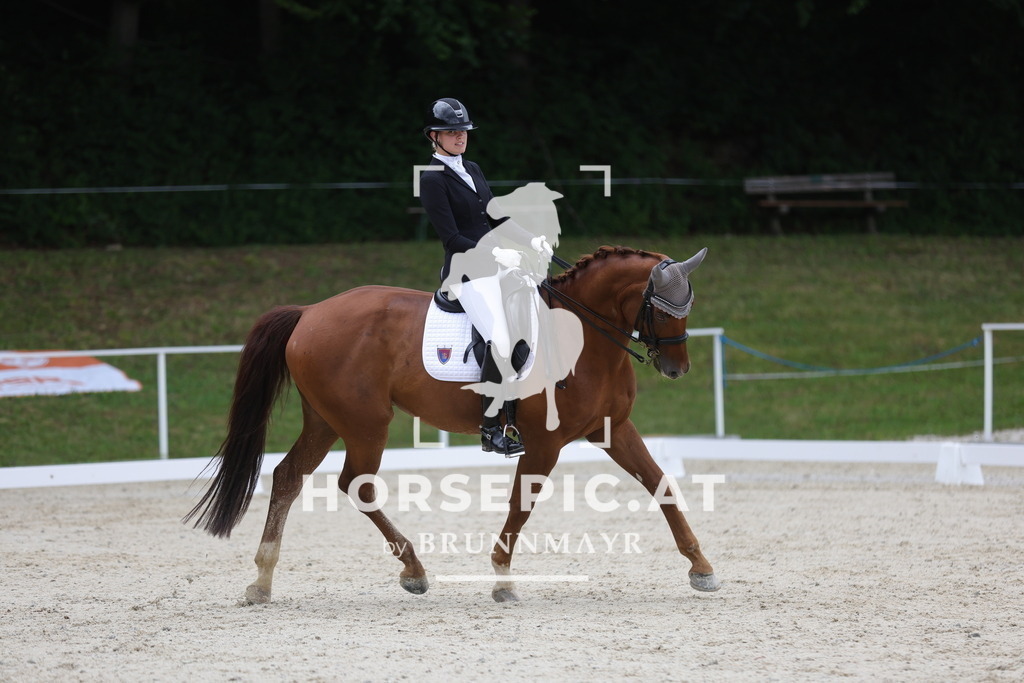 0P6A4836 | Willkommen bei Brunnmayr - Design & Fotografie – Ihrem Spezialisten für Reitturniere und Pferdeveranstaltungen in Oberösterreich, Salzburg und Bayern! Seit über 17 Jahren sind wir leidenschaftlich dabei.