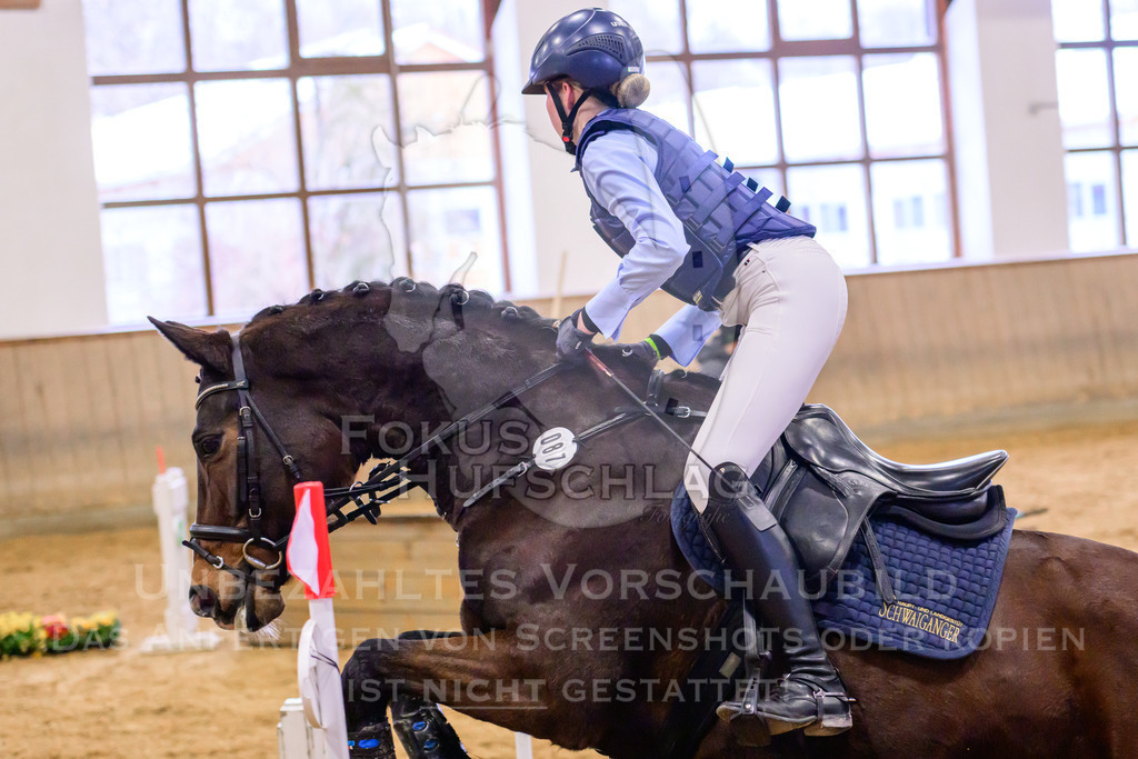 29032026-Schwaiganger-Prfg03-2-0728 | Fokus Hufschlag Fotografie - Realisiert mit Pictrs.com