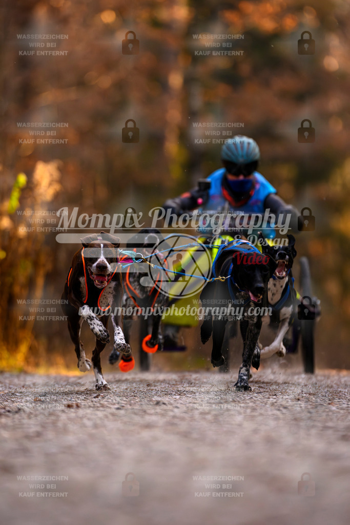 MompixPhotography_DM_AKDM_SO_2025_Wagen-31 | PayLife