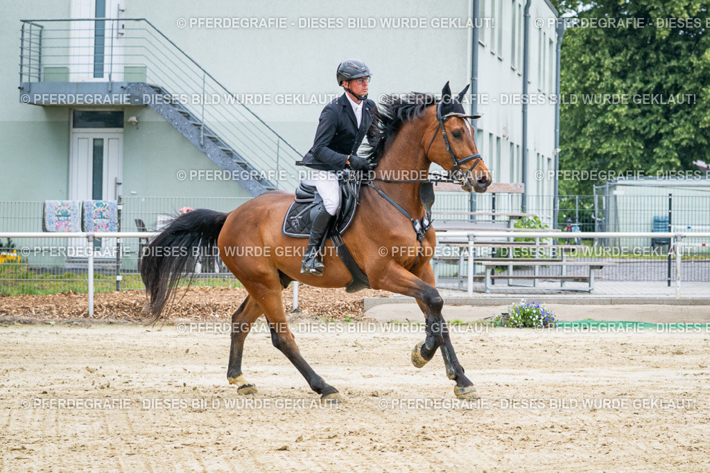 DSC01781 | Pferdegrafie