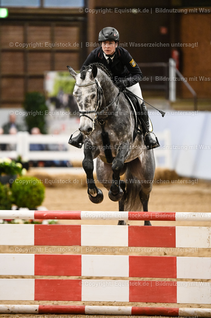20260307_Hengstvorstellung-Marbach_0112 | equistock