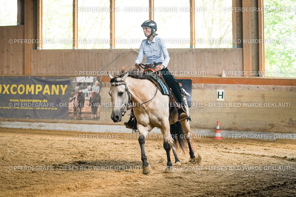 DSC05372 | Pferdegrafie