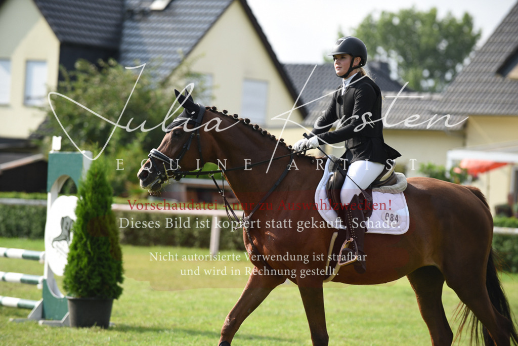 DSC_8792 | Pferde- und Turnierfotografie in Westsachsen. Pferdeportraits, Auftragszeichnungen und intuitive Kunst.