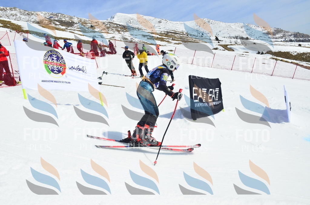 _ELE1324 | holidayphoto