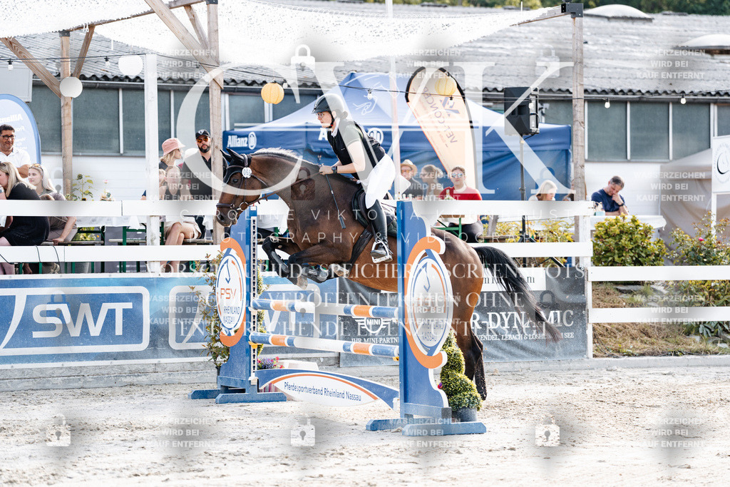 CK906268 | Turnierfotografie Pferdefotografie Trier Rheinland-Pfalz Pferdesport Reitsport Tierfotografie Sportfotografie Pferdevideo Pferdevideografie Equestrianvideography equestrianphotography  - Realisiert mit Pictrs.com