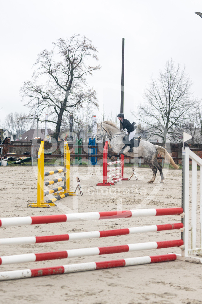 DSC_8343 | sattelsport - Realisiert mit Pictrs.com