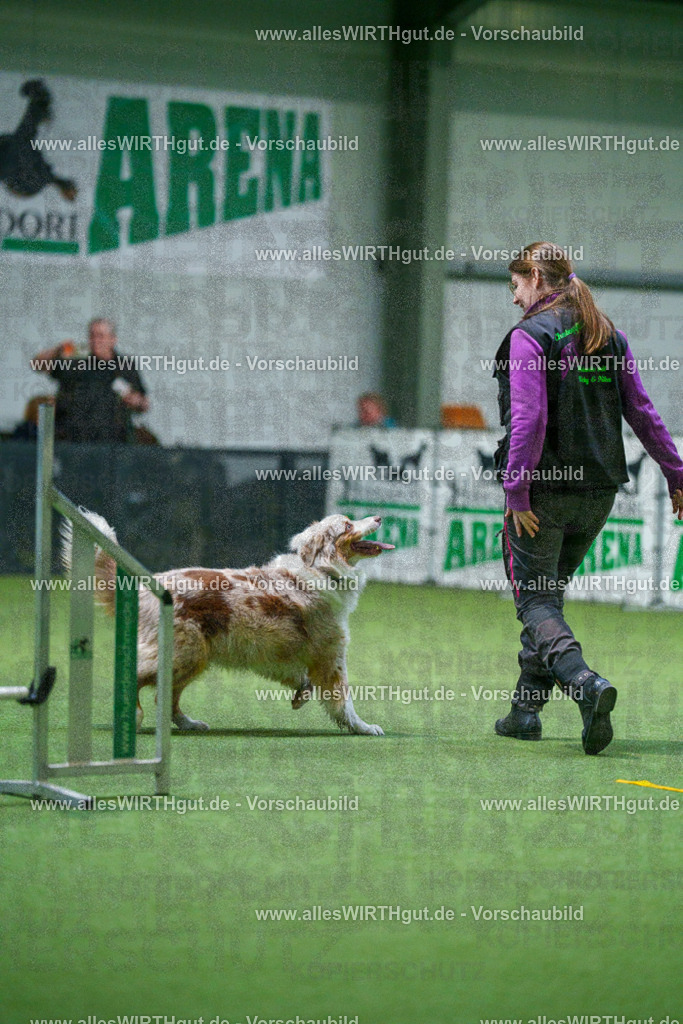 7R503866 | Professionelle Tierfotografie in Mönchengladbach von Daniel Wirth (allesWIRTHgut). Liebevolle & natürliche Bilder von Hunden & Katzen für unvergessliche Erinnerungen.
