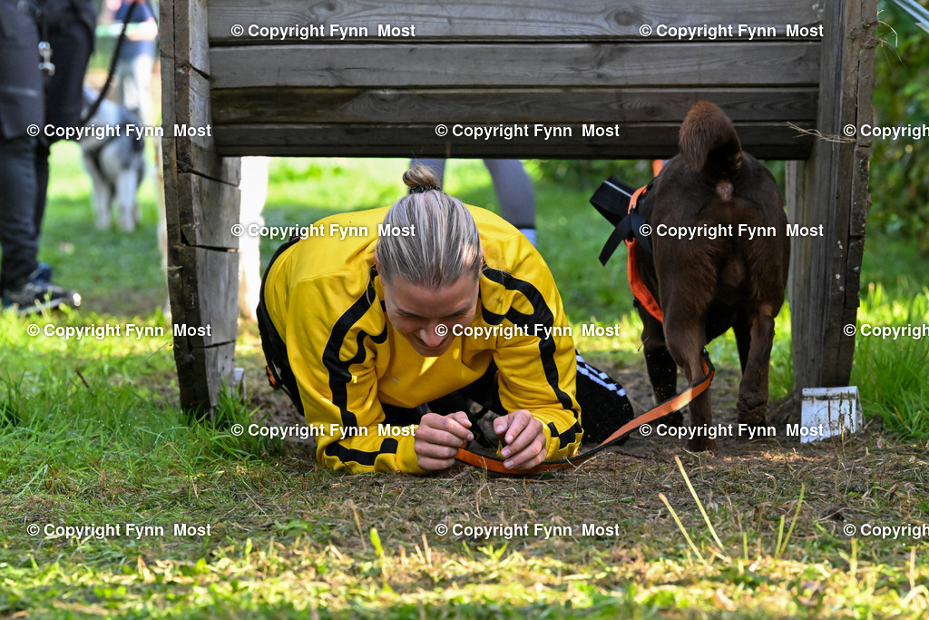 DSC_5606 | Hallo und herzlich Willkommen auf meiner Shop-Seite Fynn Most.

Ich wünsche Dir viel Spaß beim stöbern durch die Bilder, wenn Du Fragen hast oder Bilder vermisst, kannst du mir gerne eine Nachricht schreiben. - Realisiert mit Pictrs.com
