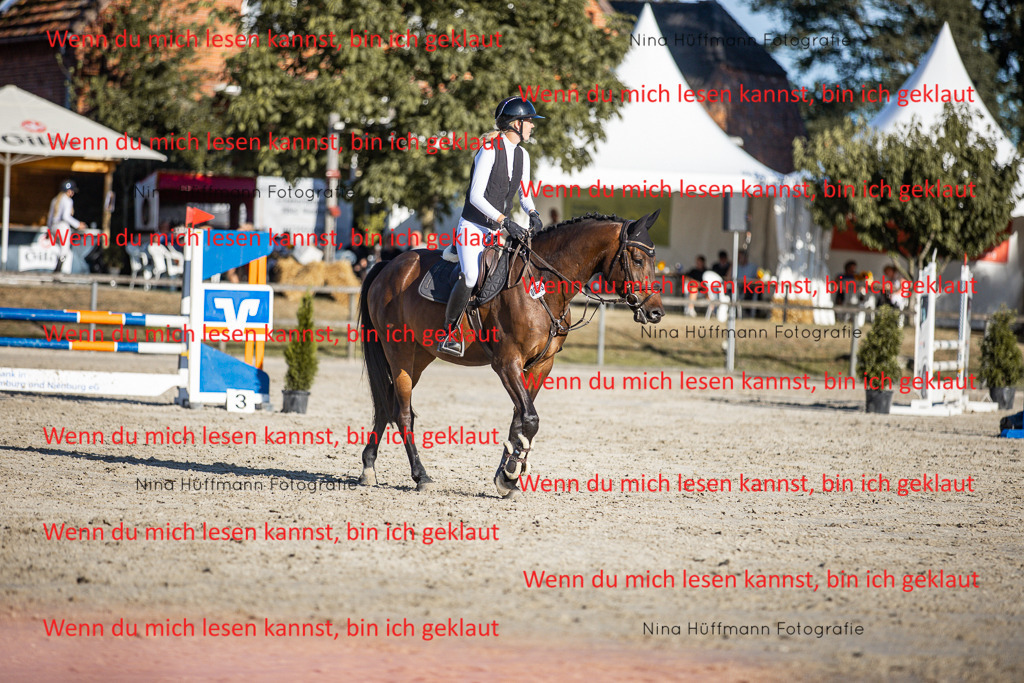 BK1A7808 | Turnierbilder Turnierfotos Nina Hüffmann Turnierfotografie Pferdefotografie Tierzeichnung Haustierzeichnung Pferdezeichnung Hundezeichnung Videograf  - Realisiert mit Pictrs.com