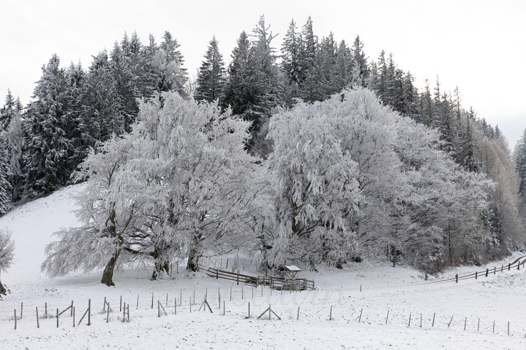 Franzenreith Frost  | Ihre Fotografin im Lungau, ihre Fotografin im Mostviertel, Wandbilder Onlineshop, Imagefotos für Ihr Unternehmen,  - Realisiert mit Pictrs.com