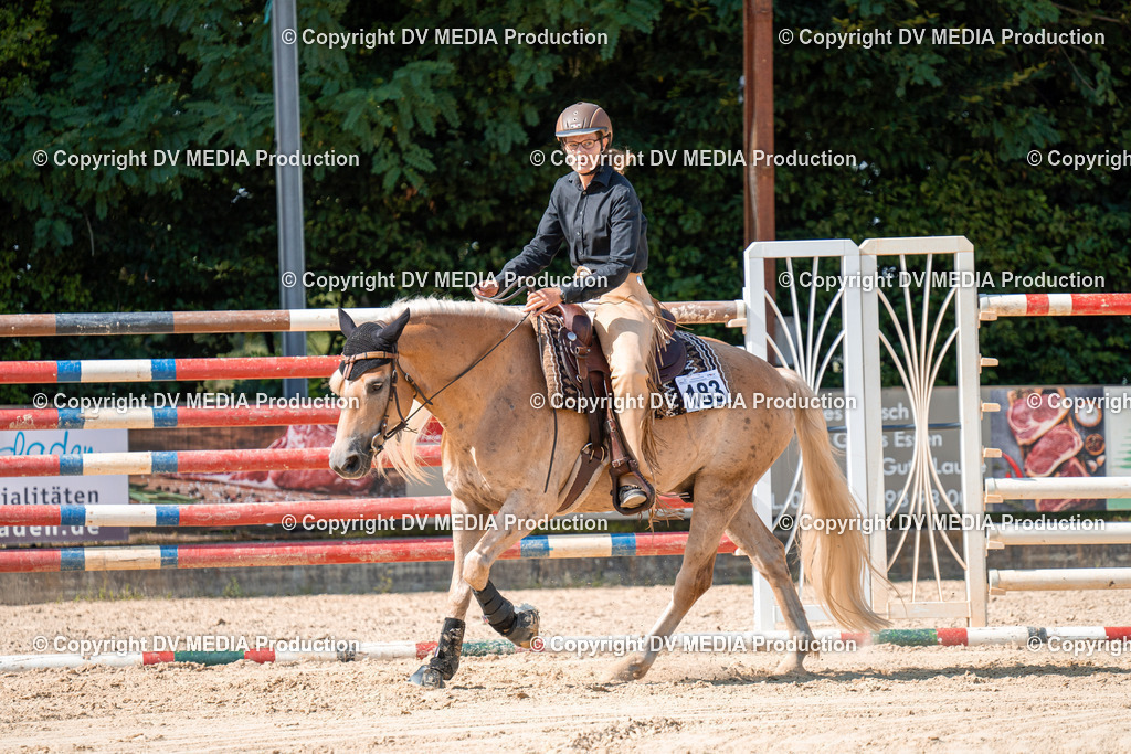 ZH100302 | dv-media-shop - Realisiert mit Pictrs.com