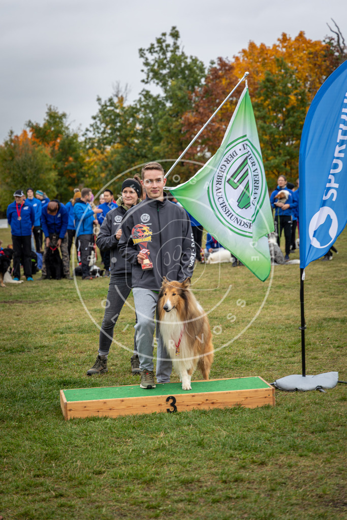 Pfotenfotografie_0L8A0521 | Hundefotografie, Tierfotograf, Pfotenfotografie, Fotoshooting Hund, Hunde Portrait, Hundesport, Hundeportraits, Heideshooting, Hunde, Sportfotograf, Hundefotograf, Turnierhundsport, THS,  - Realisiert mit Pictrs.com