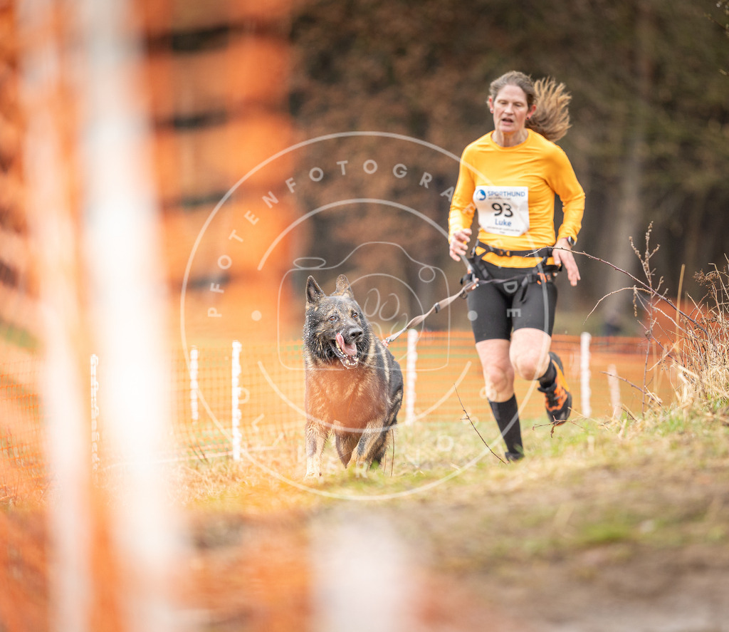 DV3A0458 | Hundefotografie, Tierfotograf, Pfotenfotografie, Fotoshooting Hund, Hunde Portrait, Hundesport, Hundeportraits, Heideshooting, Hunde, Sportfotograf, Hundefotograf, Turnierhundsport, THS,  - Realisiert mit Pictrs.com