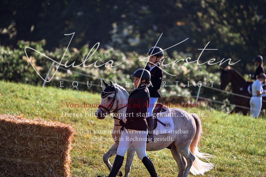 DSC_0435 | Pferde- und Turnierfotografie in Westsachsen. Pferdeportraits, Auftragszeichnungen und intuitive Kunst.