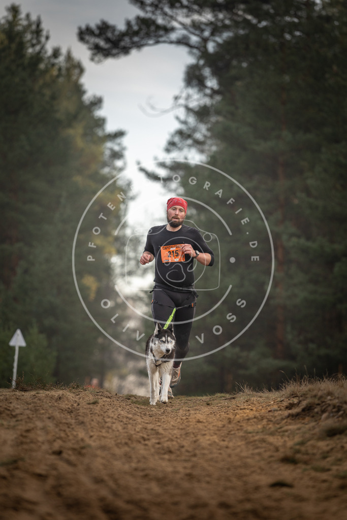 Pfotenfotografie_DV3A5260 | Hundefotografie, Tierfotograf, Pfotenfotografie, Fotoshooting Hund, Hunde Portrait, Hundesport, Hundeportraits, Heideshooting, Hunde, Sportfotograf, Hundefotograf, Turnierhundsport, THS,  - Realisiert mit Pictrs.com