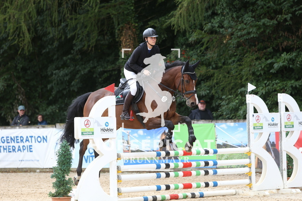 DL2Q1606 | Willkommen bei Brunnmayr - Design & Fotografie – Ihrem Spezialisten für Reitturniere und Pferdeveranstaltungen in Oberösterreich, Salzburg und Bayern! Seit über 17 Jahren sind wir leidenschaftlich dabei.
