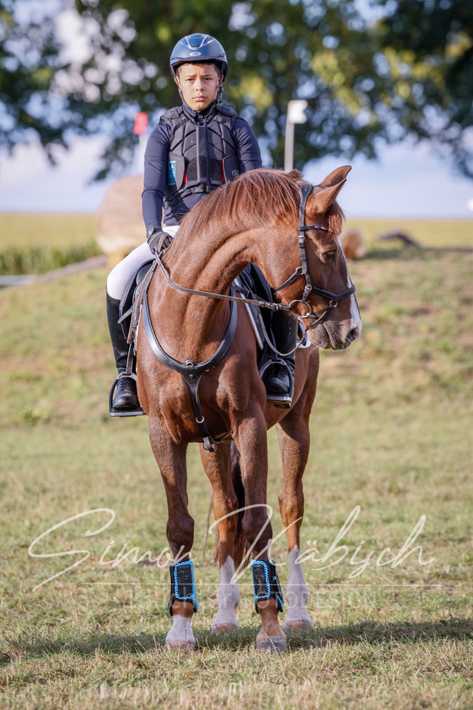 20250905-_3LI2365 | Tierfotografie Pferde, Hunde, Katzen, Haustiere.
Turnierfotografie Reitturniere, Reiten, Springreiten, Dressur in Hanau, dem Main-Kinzig-Kreis und dem Rhein-Main- Gebiet um Frankfurt