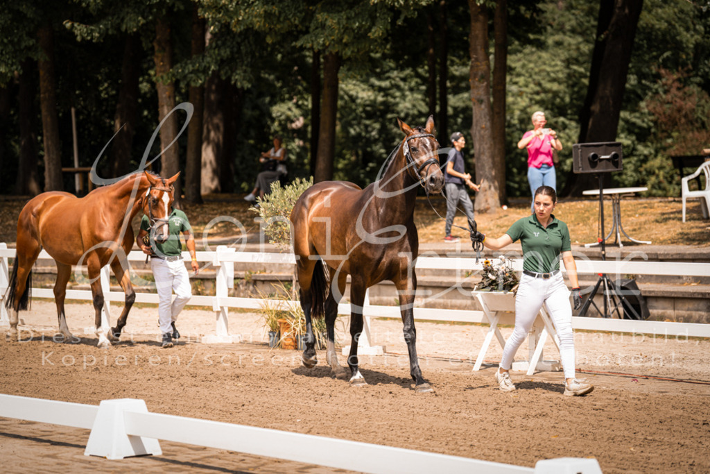 1.Fr00138 | Leoni Ertmer Photography - Realisiert mit Pictrs.com