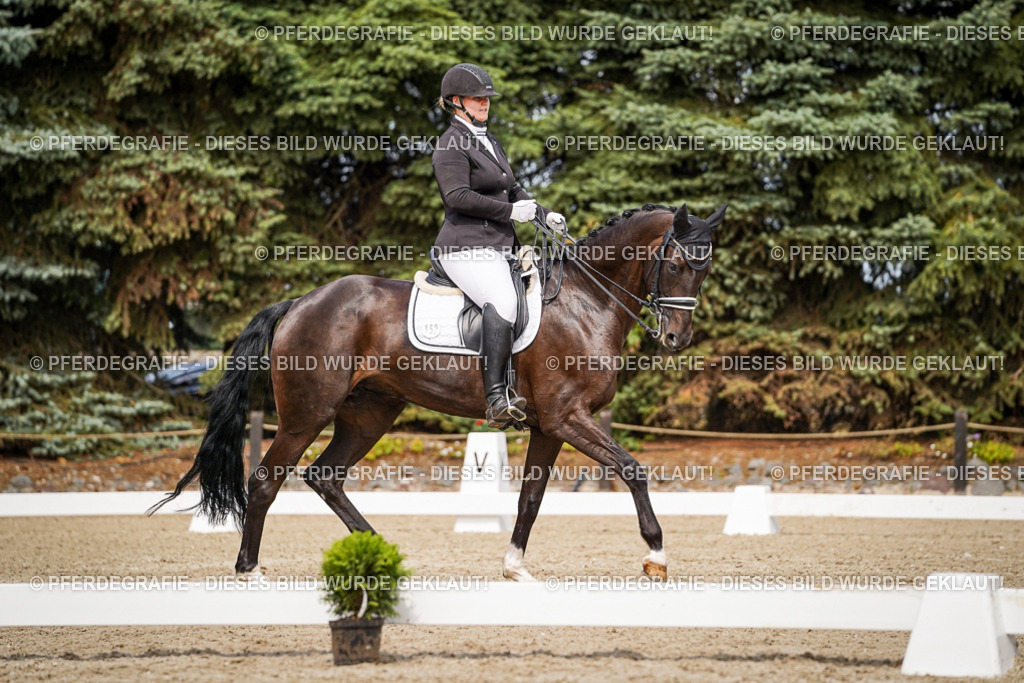 DSC05498 | Pferdegrafie