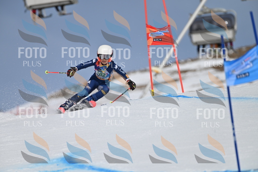 BGV_3561 | holidayphoto