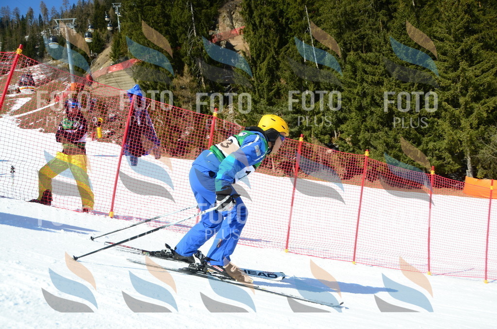 C6426 | holidayphoto