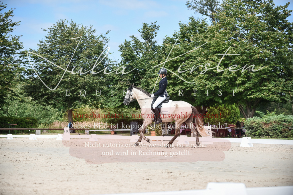 DSC_8701 | Pferde- und Turnierfotografie in Westsachsen. Pferdeportraits, Auftragszeichnungen und intuitive Kunst.