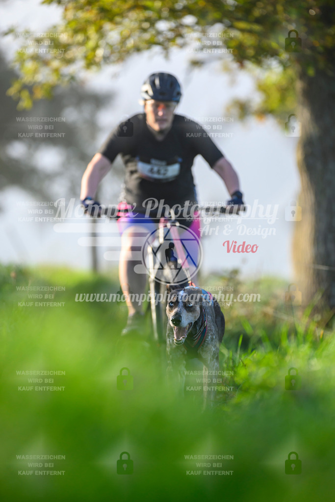 MompixPhotography_20TSB_E3_Bike-170 | PayLife