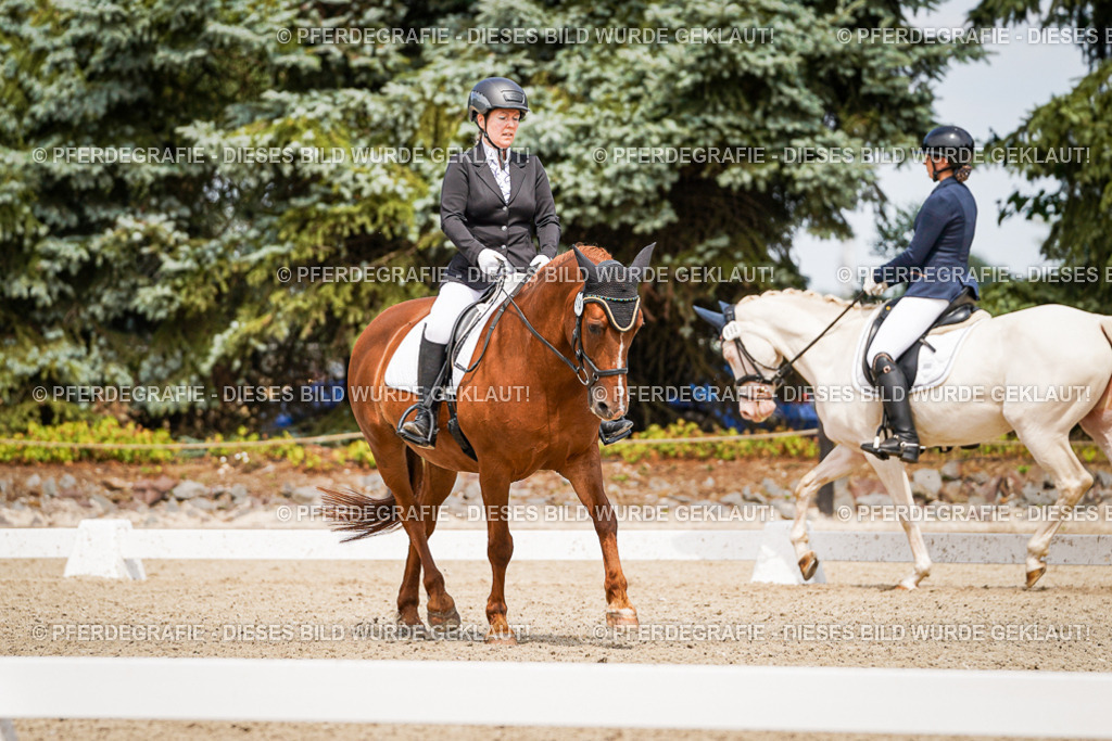 DSC04421 | Pferdegrafie