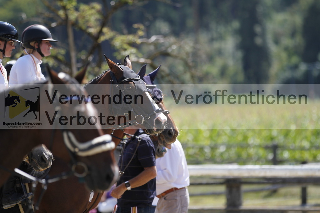 _MG_1341 | equestrian-live-com