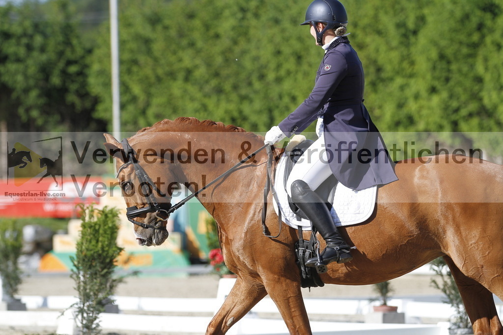 _MG_3179 | equestrian-live-com