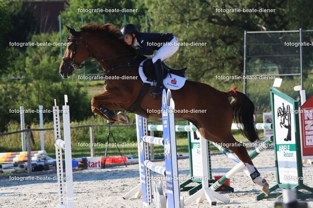 OHT 2022 Röhlingen (166) | Fotografie, Tiere, Hunde, Katzen, Pferde, Sportfotografie, Fotosession, Tierfotografie, Turnierfotografie, Fotografin, Fotograf - Realisiert mit Pictrs.com